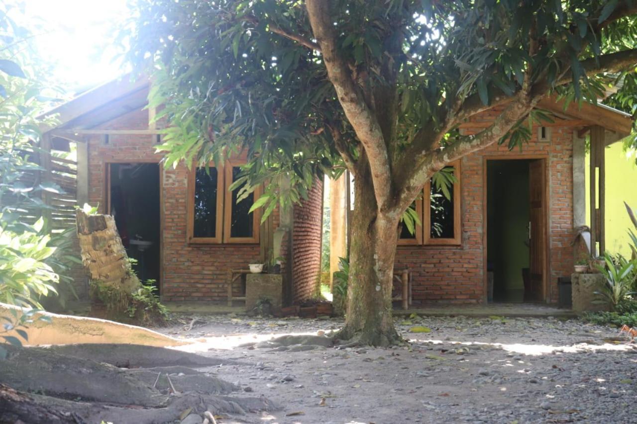 Jhony'S Backpacker-Guest House Only Stay Here Book Treking With Us Bukit Lawang Luaran gambar