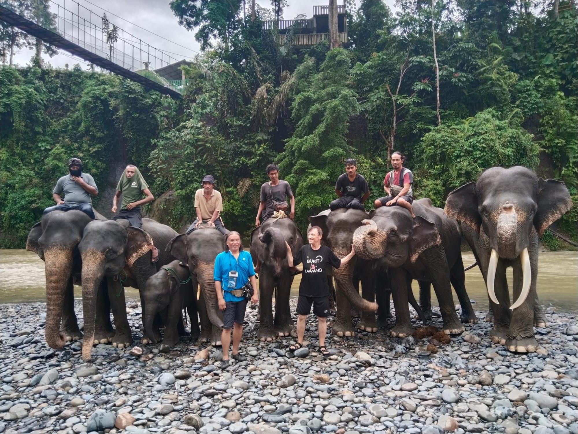 Jhony'S Backpacker-Guest House Only Stay Here Book Treking With Us Bukit Lawang Luaran gambar